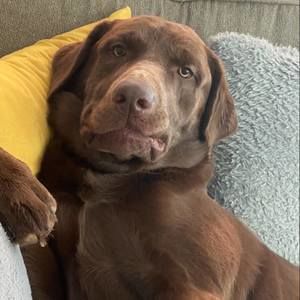 Meet your Posher, Lori